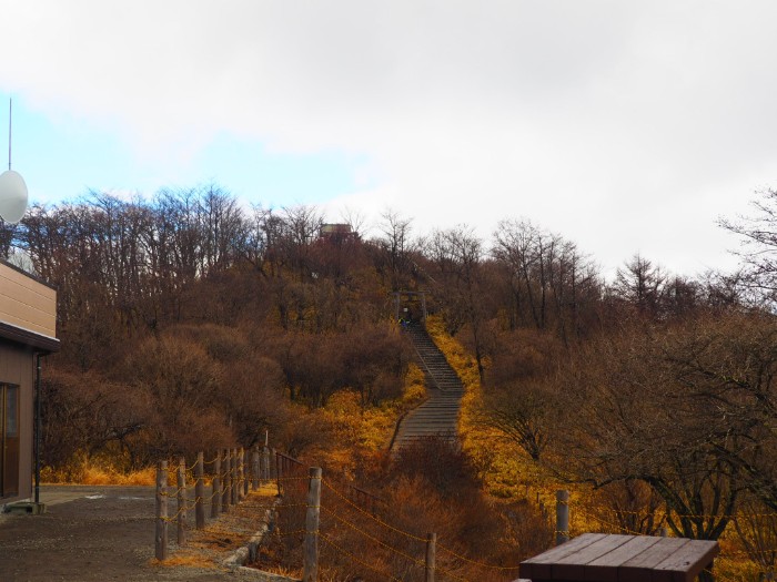 f:id:ippeyo:20190407160710j:plain