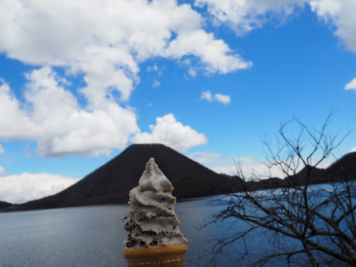 f:id:ippeyo:20190407160938j:plain