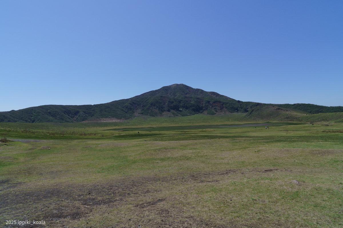 牛馬優先の草千里ヶ浜