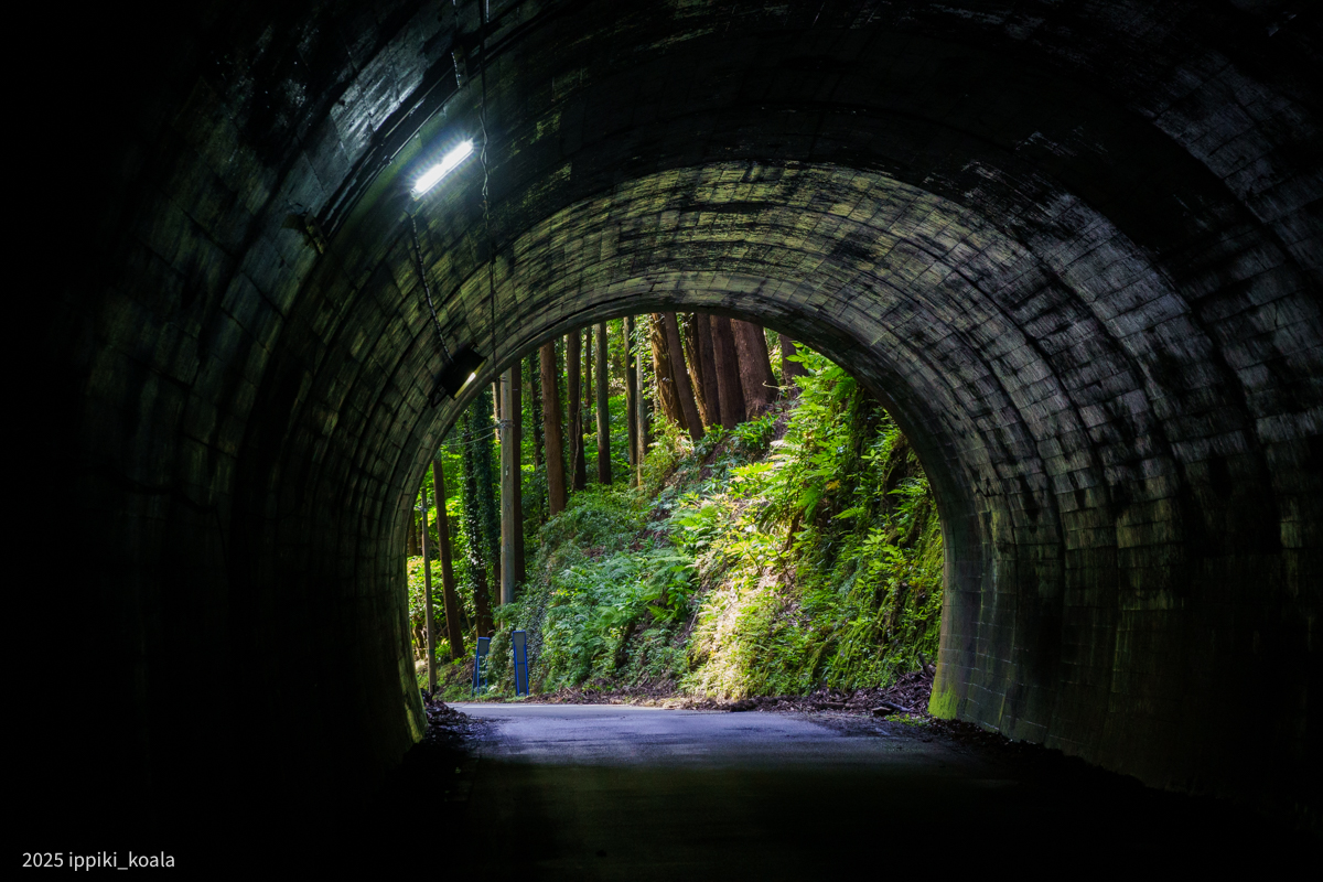 この写真も好き