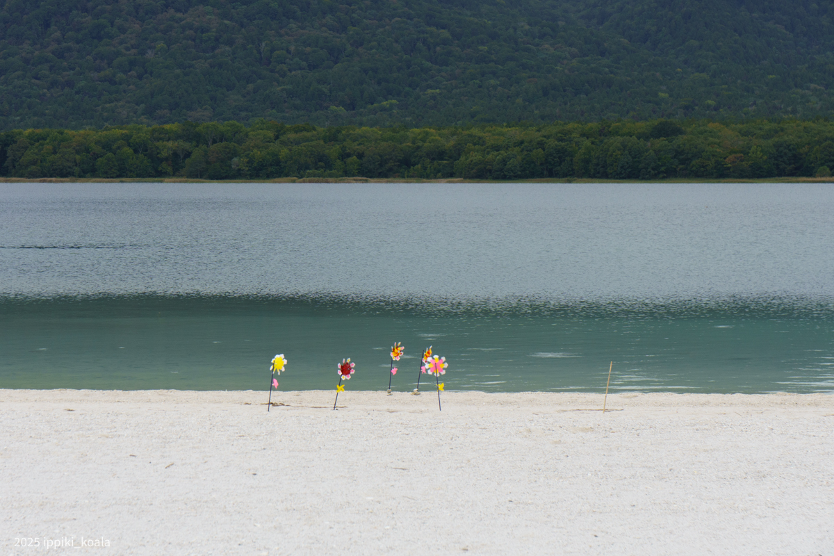 ただただ観光で風車をおいていく人もいる