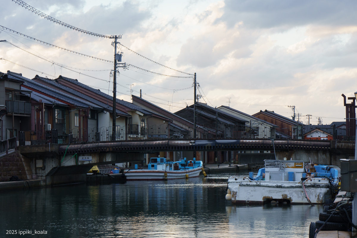整然と並んでいます