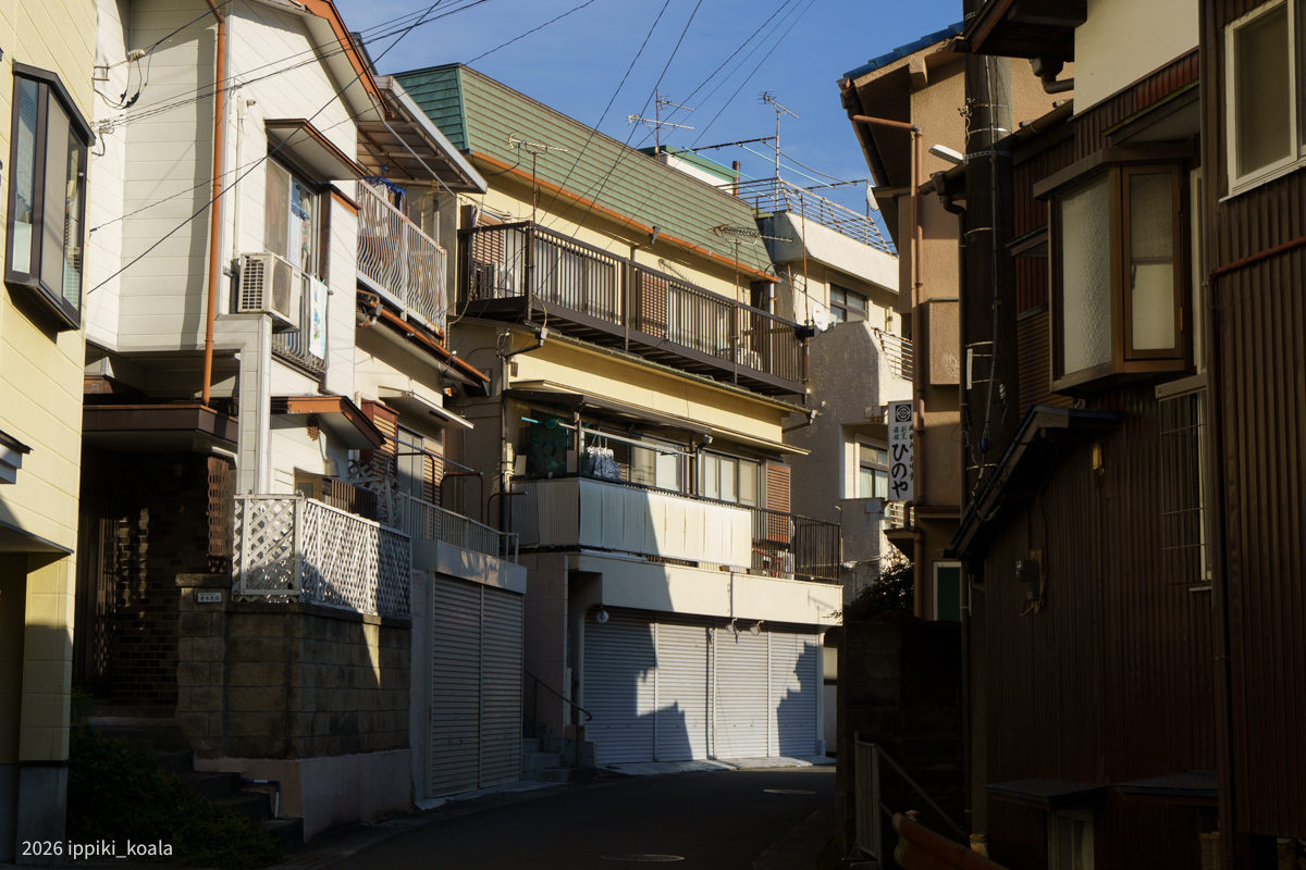 こんな漁港が神奈川にあるんだな