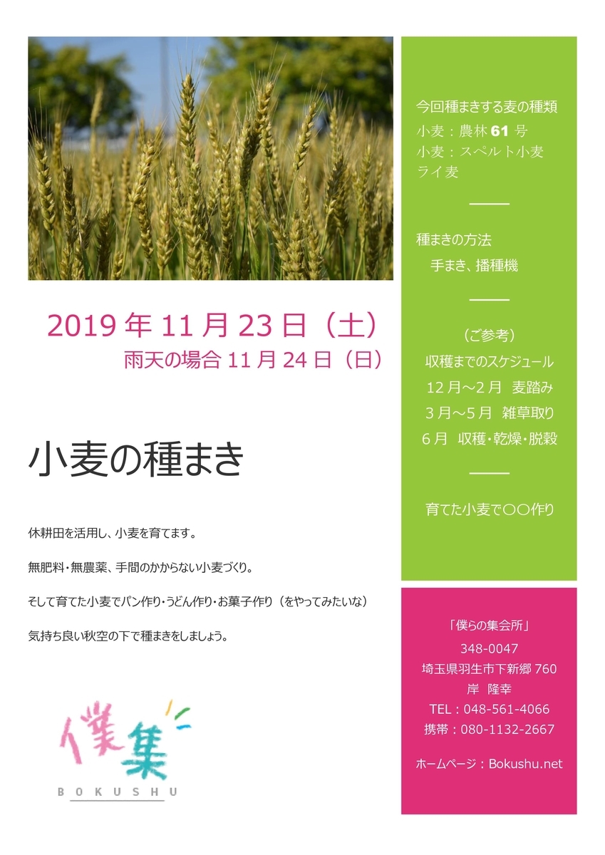 f:id:ippo180:20191124205801j:plain