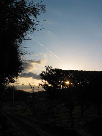 f:id:ippon2002:20110108225634j:image