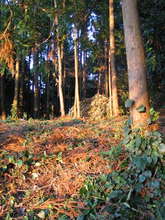 f:id:ippon2002:20110108225635j:image