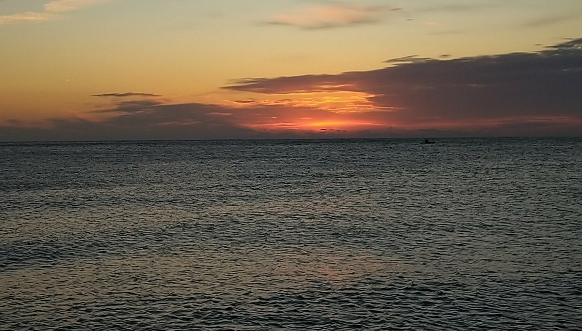 f:id:ipssii:20191216064755j:plain