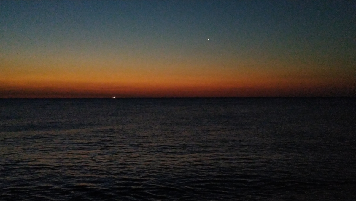 f:id:ipssii:20200221191143j:plain f:id:ipssii:20200221191143j:plain