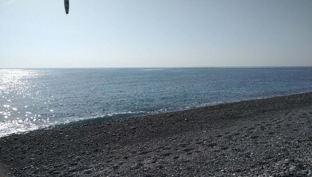 f:id:ipssii:20200221201805j:plain f:id:ipssii:20200221201805j:plain