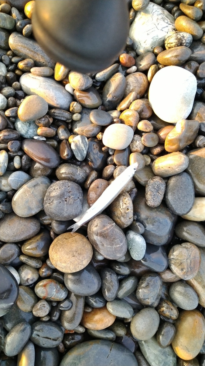 f:id:ipssii:20200531082041j:plain