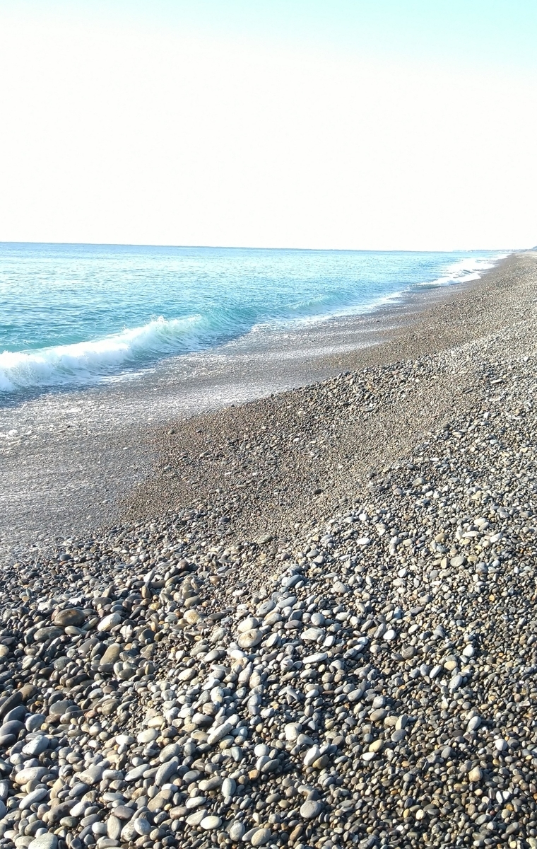 f:id:ipssii:20220110175301j:plain