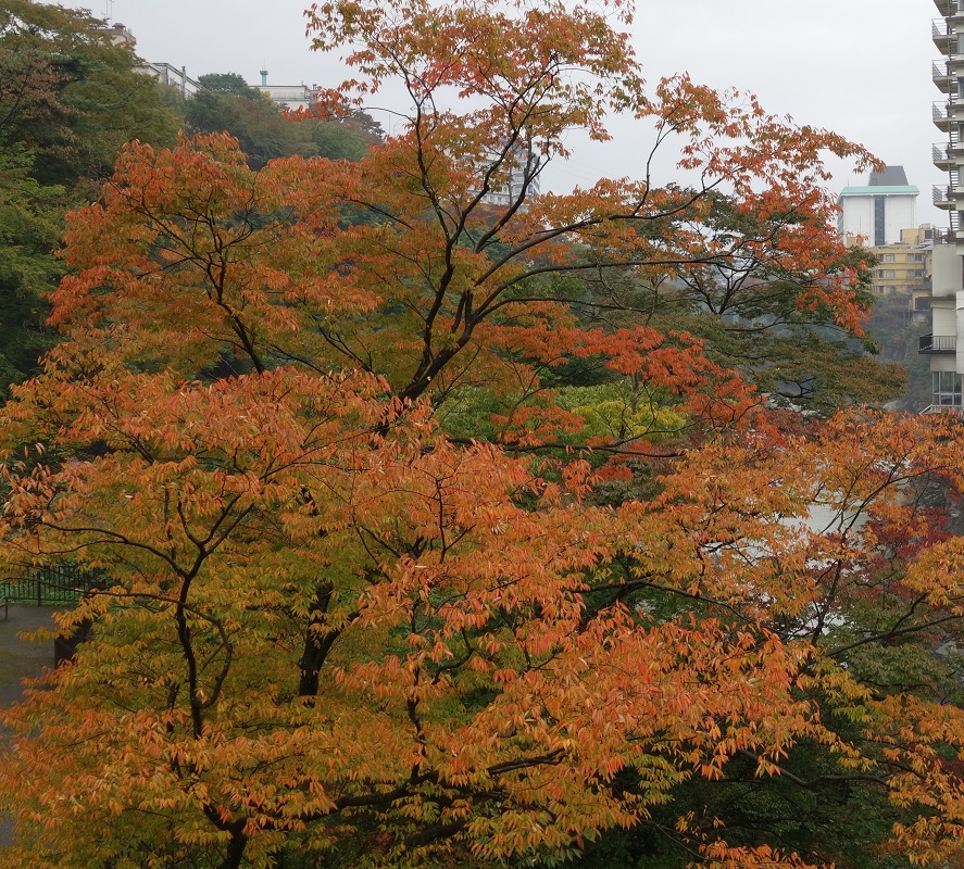 f:id:ipx-writer:20151022193054j:plain f:id:ipx-writer:20151022193054j:plain
