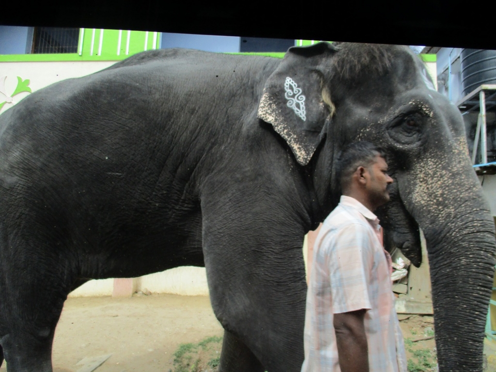 f:id:ipx-writer:20161002000931j:plain