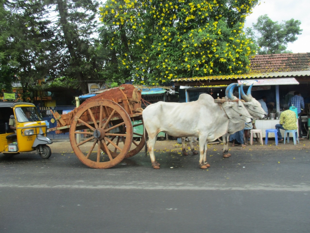 f:id:ipx-writer:20161002000947j:plain