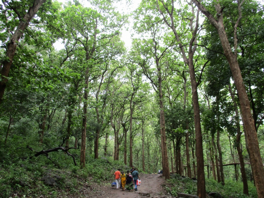 f:id:ipx-writer:20161002001209j:plain