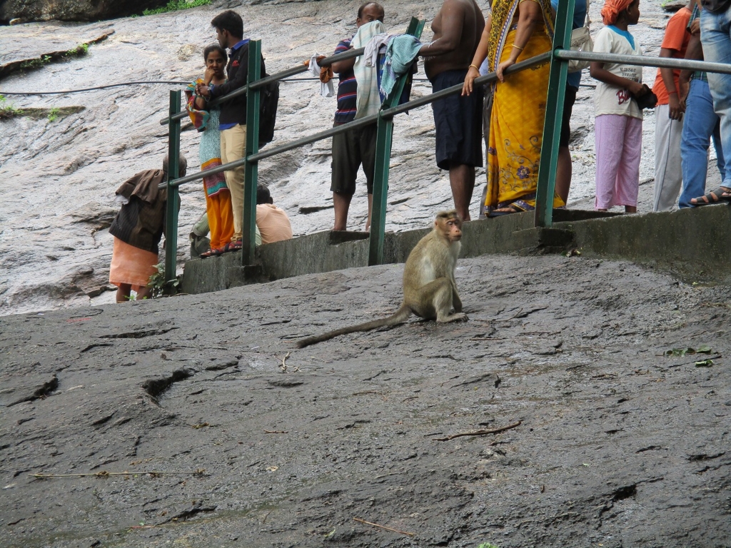 f:id:ipx-writer:20161002001408j:plain