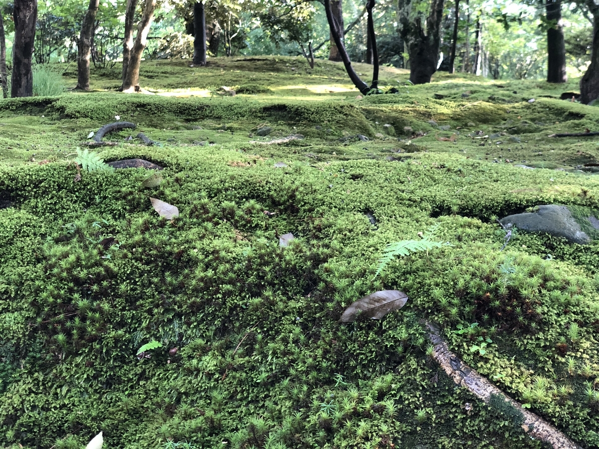 f:id:ipx-writer:20191103233016j:plain