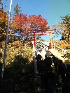 f:id:iqo720:20171107095410j:image