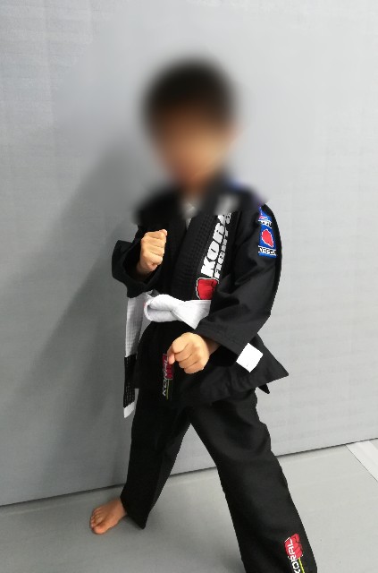 f:id:iqo720:20180723092524j:image