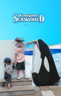 f:id:iqo720:20190817081025j:image