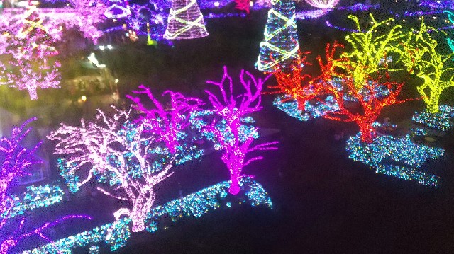 f:id:iqo720:20201128092156j:image f:id:iqo720:20201128092156j:image