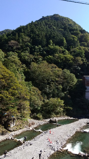 奥多摩でます釣り 氷川国際ます釣場に行ってきました Call Me Iqo Pls