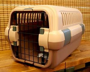 ケージかクレートか 一人暮らしの犬入門