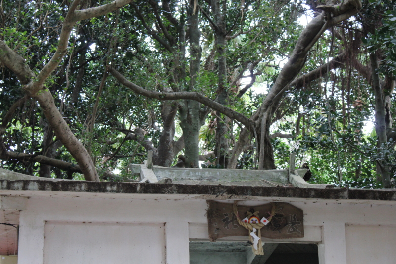 f:id:irabujima:20111020093125j:image:w360