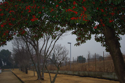 20100131162639