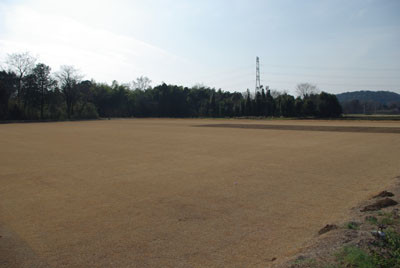 f:id:irajiomura:20100205142020j:image