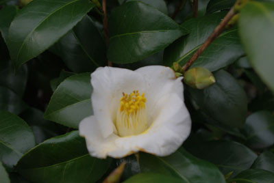 20100214101338