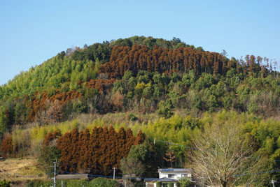 20100220154837