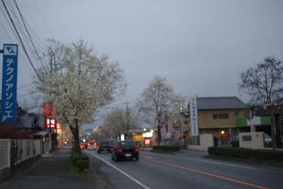 20100308180031