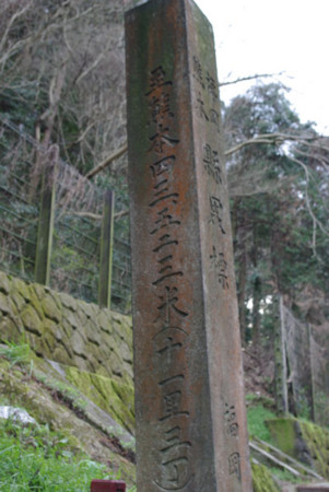 20100312165222