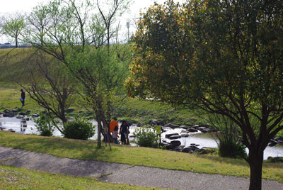 f:id:irajiomura:20100403162005j:image