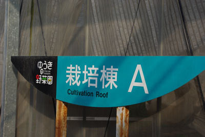 f:id:irajiomura:20100403162437j:image