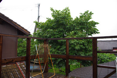 f:id:irajiomura:20100613080441j:image