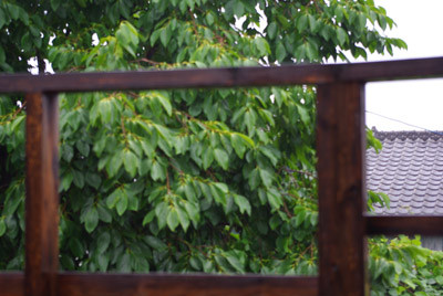 f:id:irajiomura:20100613080507j:image