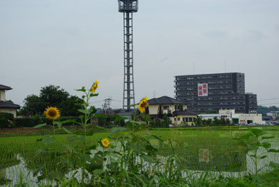 f:id:irajiomura:20100709103748j:image
