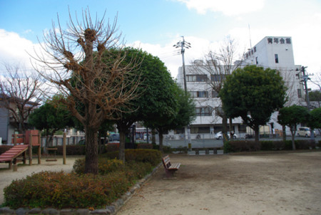 f:id:irajiomura:20101224142158j:image