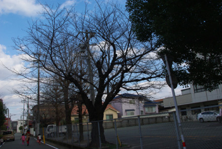 f:id:irajiomura:20101224142313j:image