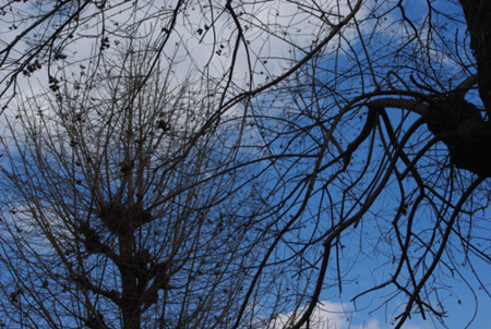 f:id:irajiomura:20101224142439j:image