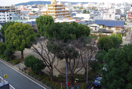 f:id:irajiomura:20101224142711j:image