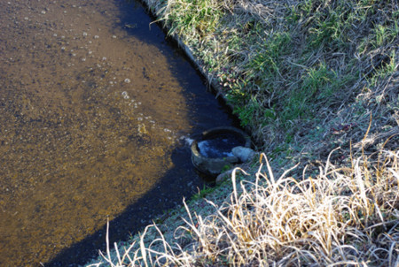 f:id:irajiomura:20110221152509j:image