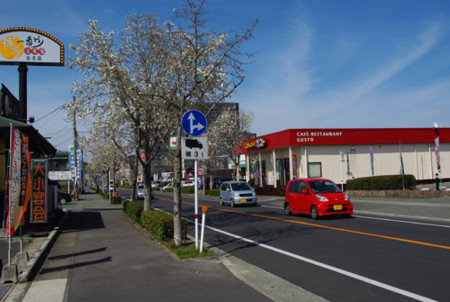 f:id:irajiomura:20110318134923j:image f:id:irajiomura:20110318134923j:image