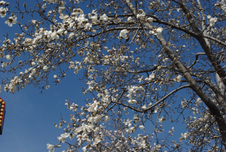 f:id:irajiomura:20110318134957j:image f:id:irajiomura:20110318134957j:image