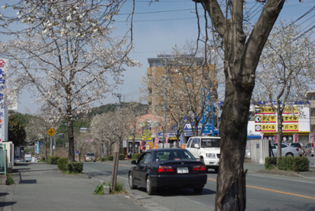 f:id:irajiomura:20110318135448j:image f:id:irajiomura:20110318135448j:image