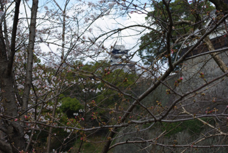 f:id:irajiomura:20110326142039j:image