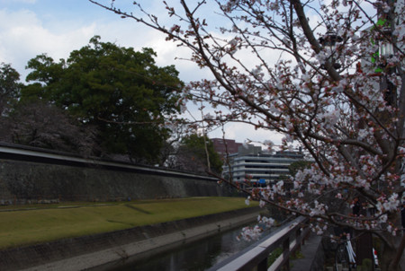 f:id:irajiomura:20110326142540j:image