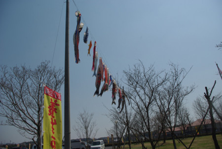f:id:irajiomura:20110401133616j:image